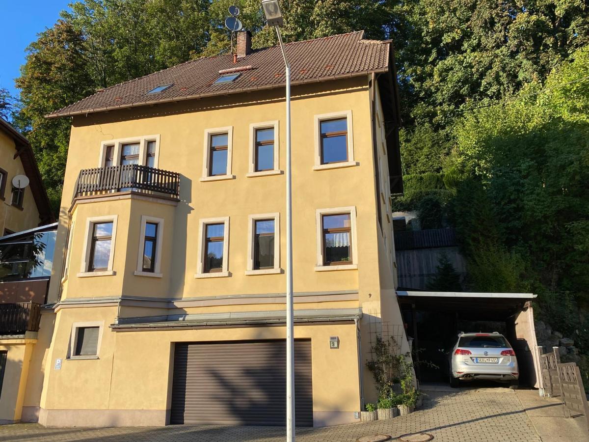 Waldblickwohnung Mit Schoener Terrasse Und Kamin Sebnitz Exteriör bild